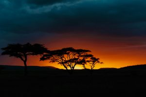6 Day Exclusive Great Migration Safari – Ndutu, Serengeti & Ngorongoro (Jan - Feb)