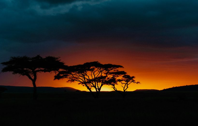 6 Day Exclusive Great Migration Safari – Ndutu, Serengeti & Ngorongoro (Jan - Feb)